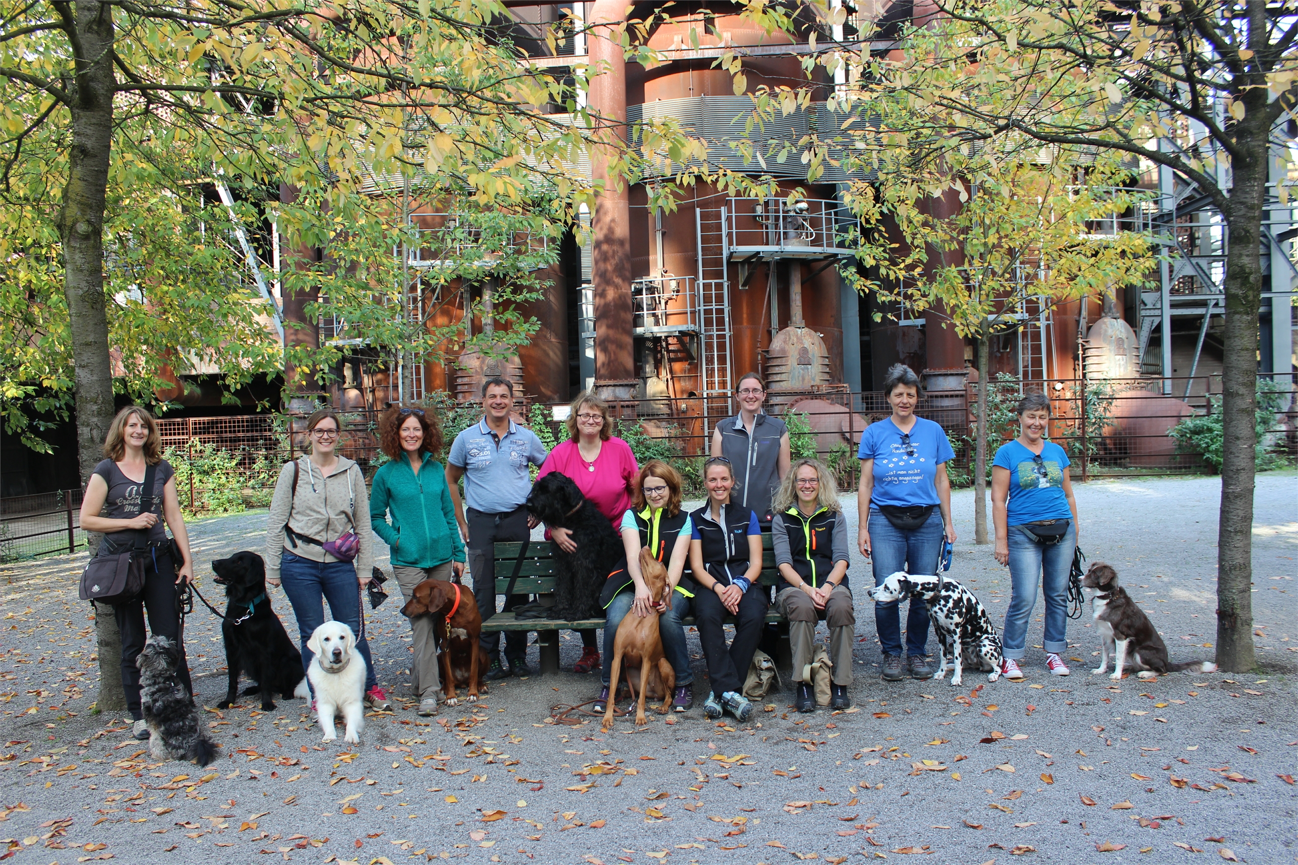 Gemeinsames Mantrailing-Training
