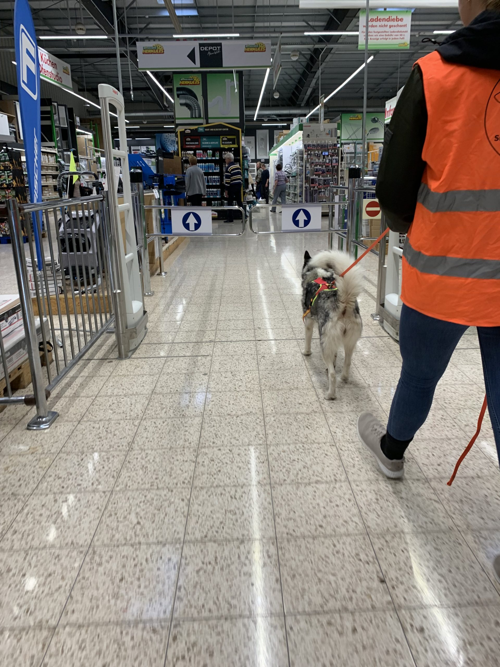 Mantrailing in einer Indoor-Umgebung